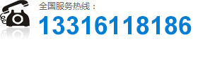 13316118186